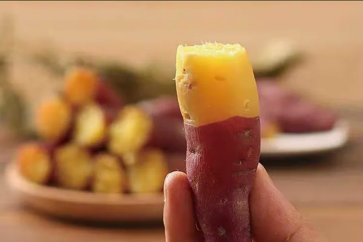 智能甘薯糖化愈合庫(kù)，紅薯存儲(chǔ)新變革