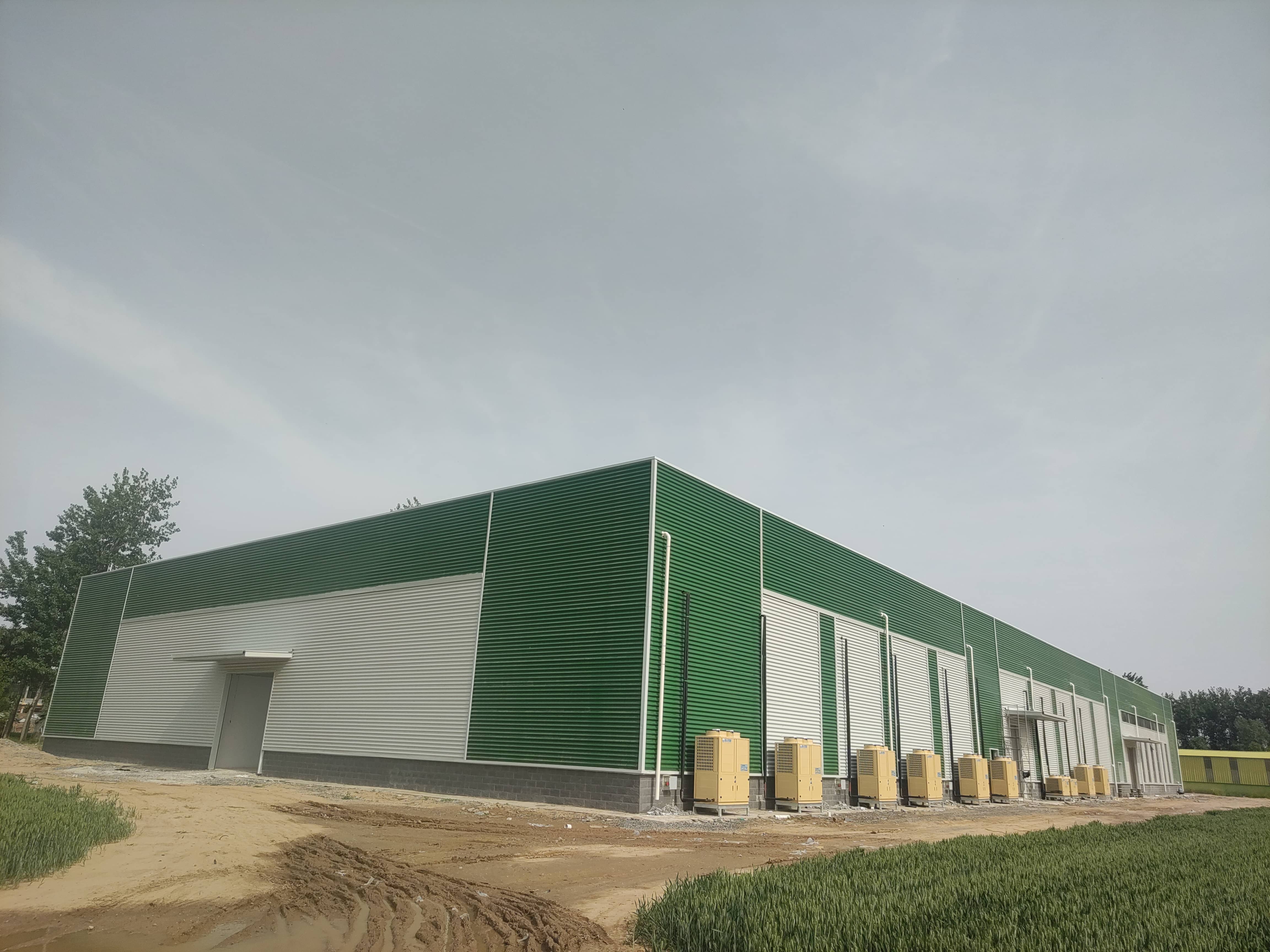 開(kāi)封智能甘薯糖化愈合庫(kù)